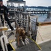 U.S. Coast Guard K-9 Units train on USS Potomac