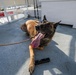 U.S. Coast Guard K-9 Units train on USS Potomac