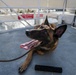 U.S. Coast Guard K-9 Units train on USS Potomac