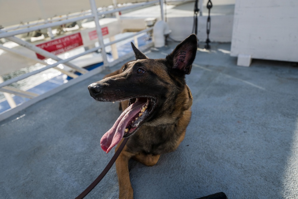 U.S. Coast Guard K-9 Units train on USS Potomac