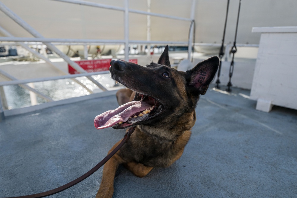 U.S. Coast Guard K-9 Units train on USS Potomac
