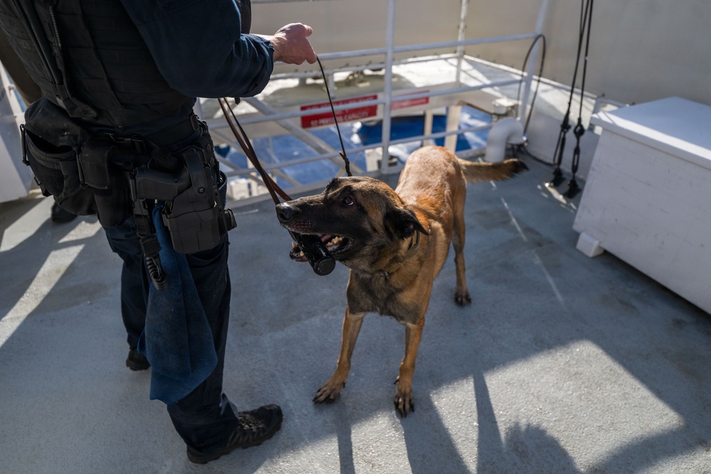 U.S. Coast Guard K-9 Units train on USS Potomac