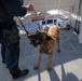 U.S. Coast Guard K-9 Units train on USS Potomac