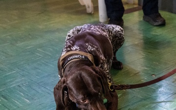 U.S. Coast Guard K-9 Units train on USS Potomac