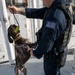 U.S. Coast Guard K-9 Units train on USS Potomac