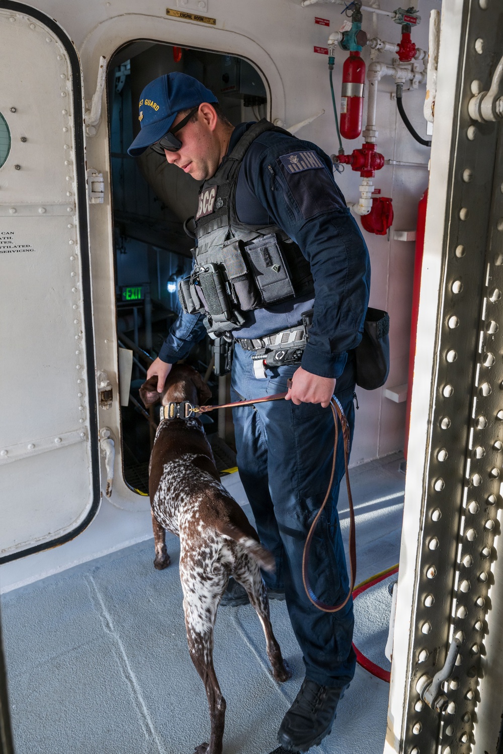U.S. Coast Guard K-9 Units train on USS Potomac