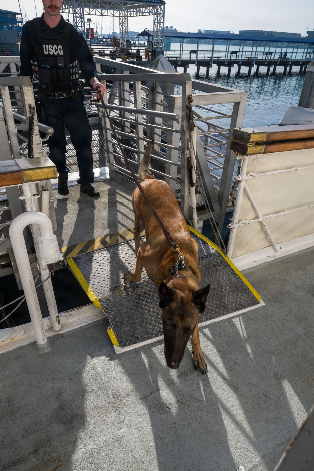 U.S. Coast Guard K-9 Units train on USS Potomac
