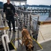 U.S. Coast Guard K-9 Units train on USS Potomac