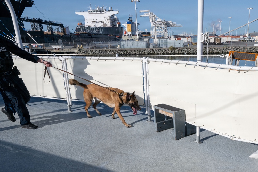 U.S. Coast Guard K-9 Units train on USS Potomac