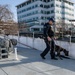 U.S. Coast Guard K-9 Units train on USS Potomac