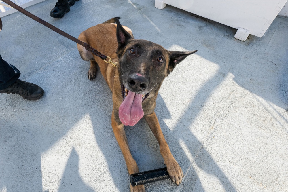 U.S. Coast Guard K-9 Units train on USS Potomac