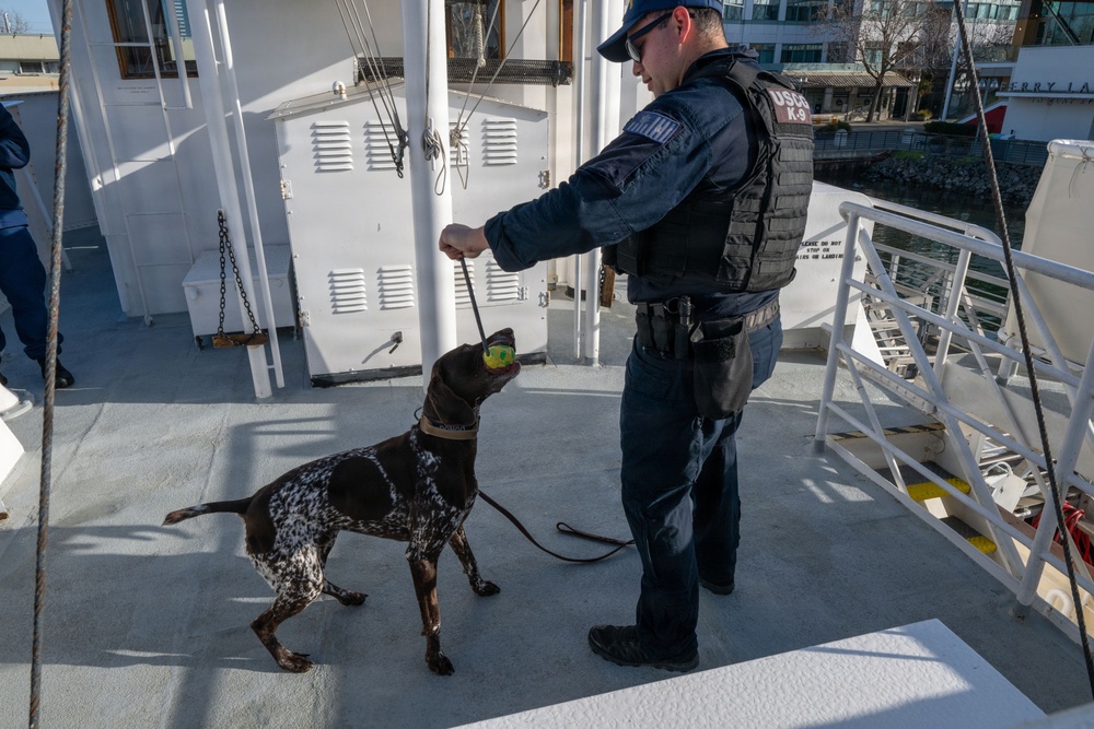 U.S. Coast Guard K-9 Units train on USS Potomac