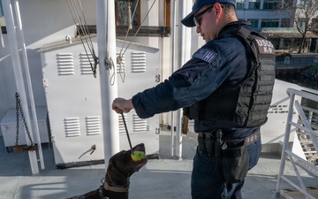 U.S. Coast Guard K-9 Units train on USS Potomac