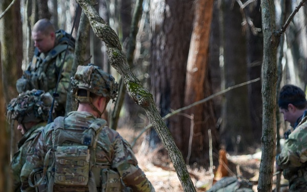 101st conducts Operation Lethal Eagle 26.1
