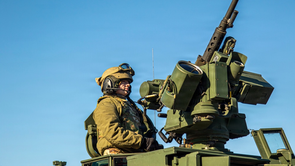 Spartan Brigade conducts a Table V live-fire exercise