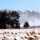 Wisconsin National Guard’s 1st Battalion, 120th Field Artillery holds winter sling-load training at Fort McCoy Wisconsin National Guard’s 1st Battalion, 120th Field Artillery holds winter sling-load training at Fort McCoy