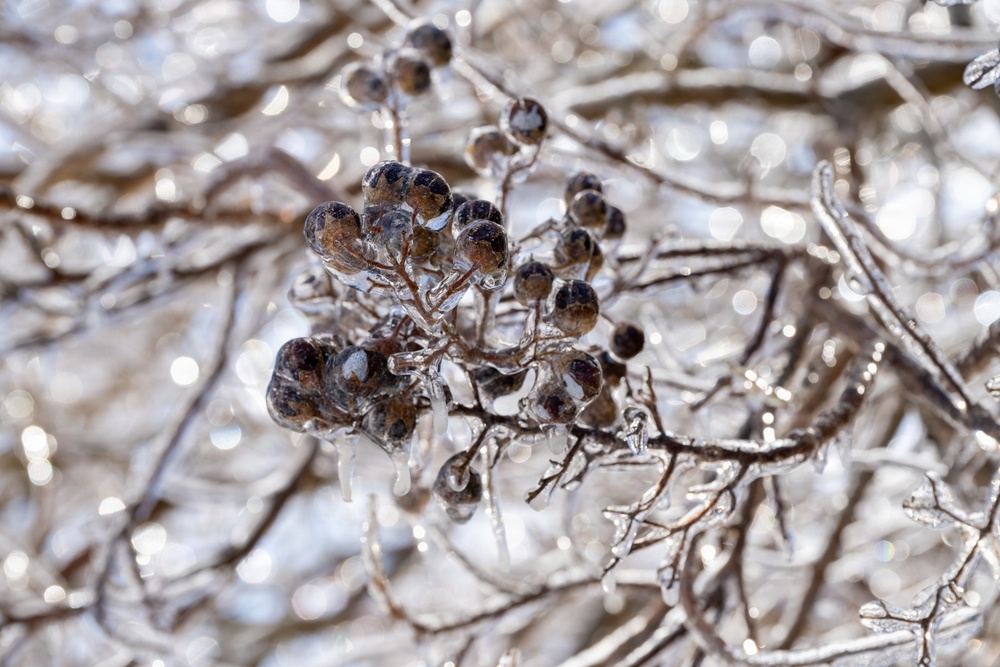 Winter Storm hits Dover AFB