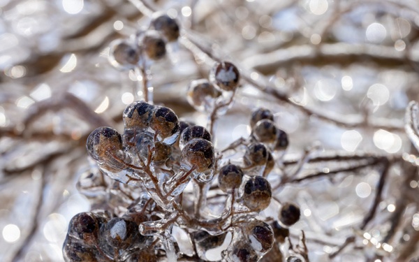 Winter Storm hits Dover AFB