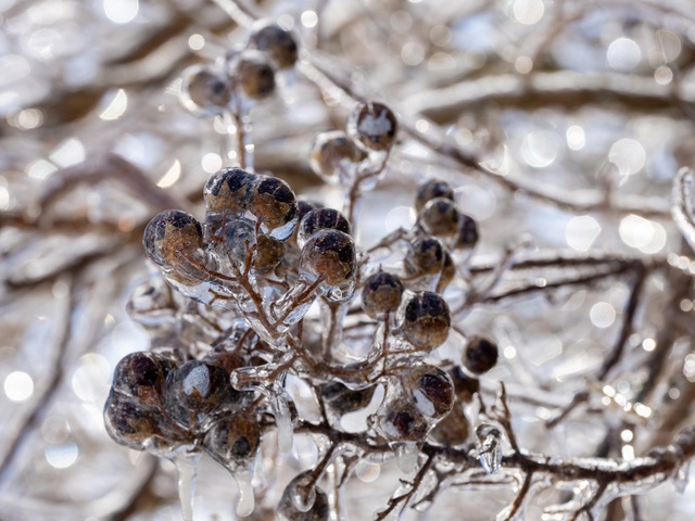Winter Storm hits Dover AFB