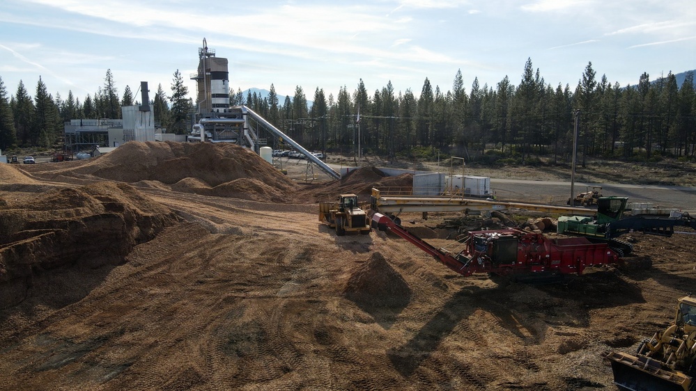 Forest power: woodchips to electricity