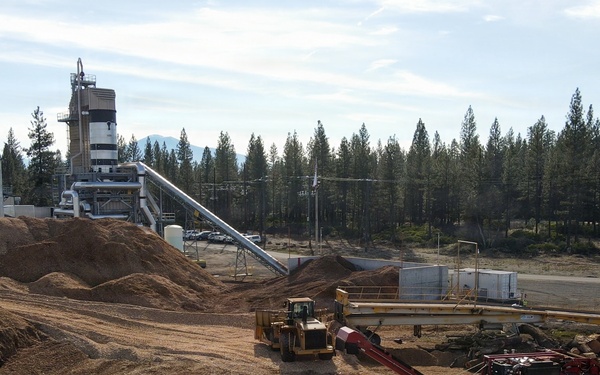 Forest power: woodchips to electricity