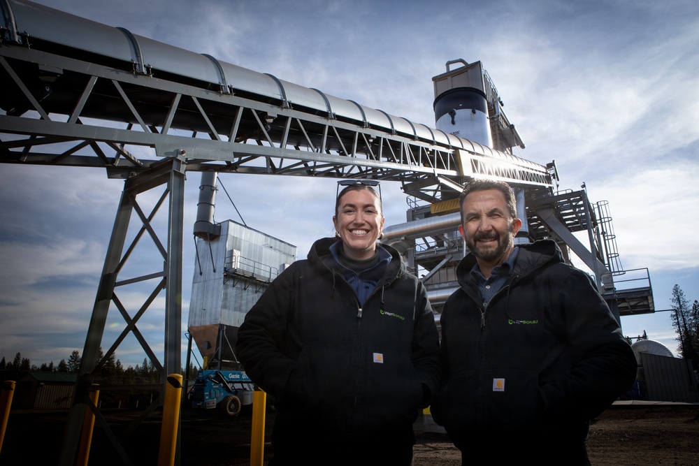 Forest power: woodchips to electricity