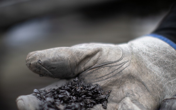 Forest power: woodchips to electricity