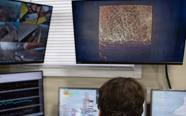 Forest power: woodchips to electricity