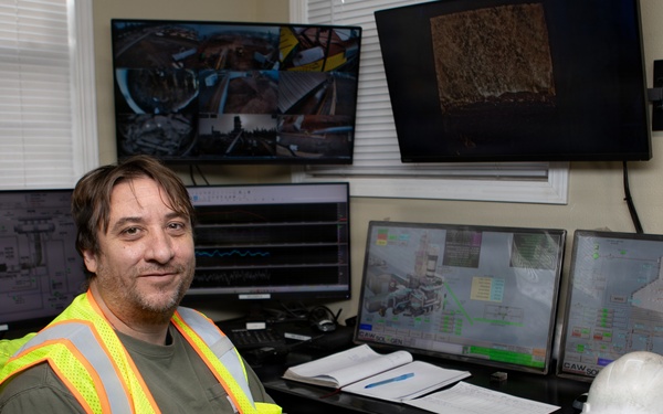 Forest power: woodchips to electricity