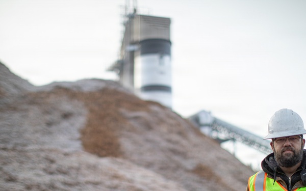 Forest power: woodchips to electricity