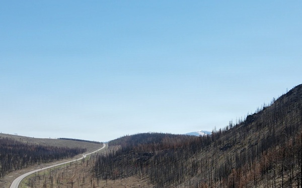 Forest power: woodchips to electricity