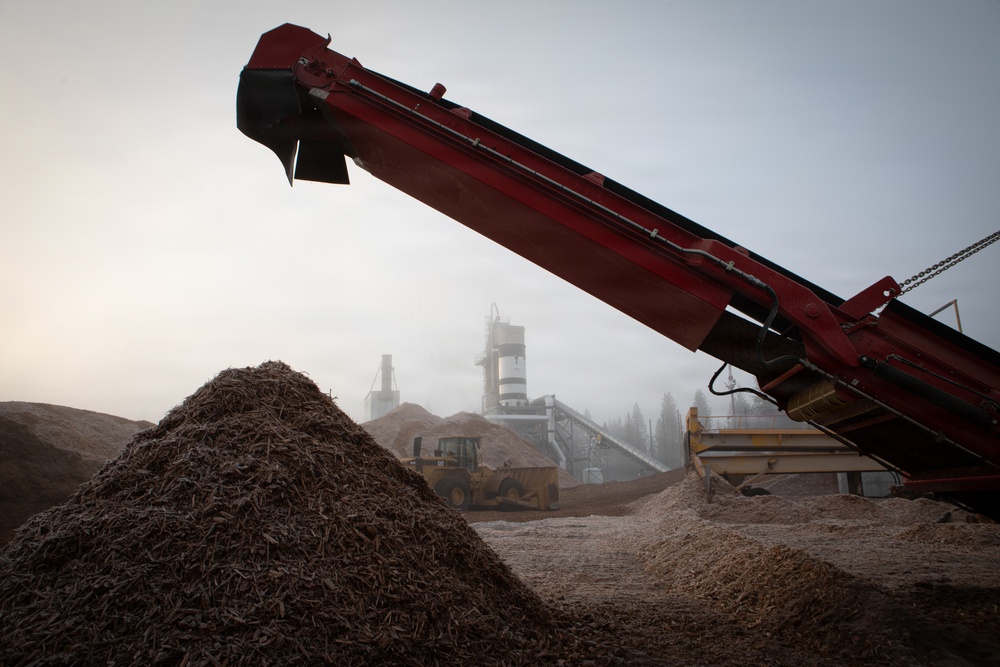 Forest power: woodchips to electricity