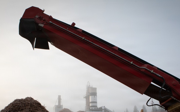 Forest power: woodchips to electricity