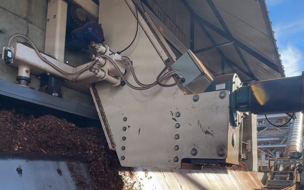 Forest power: woodchips to electricity