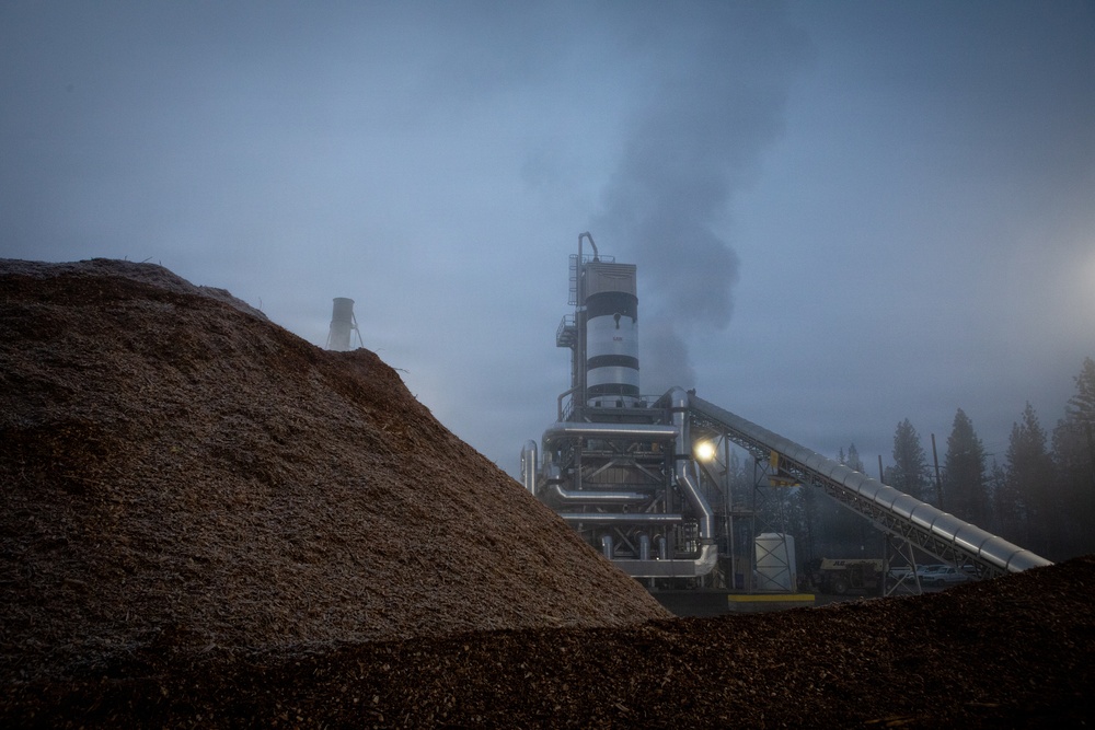 Forest power: woodchips to electricity