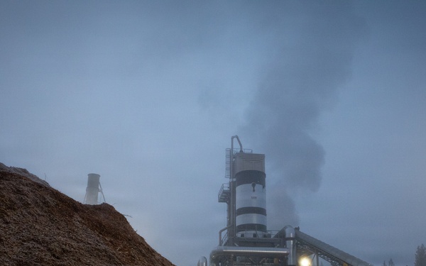 Forest power: woodchips to electricity