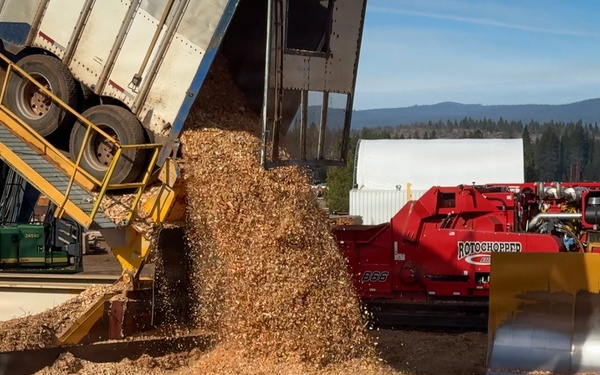 Forest power: woodchips to electricity