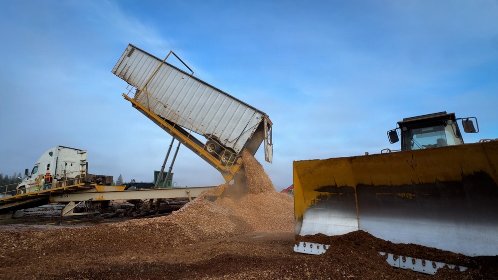 Forest power: woodchips to electricity