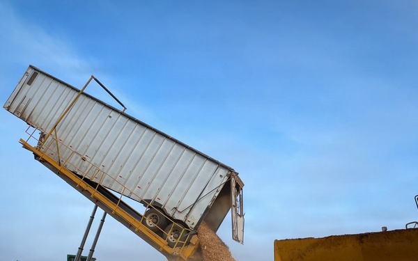 Forest power: woodchips to electricity