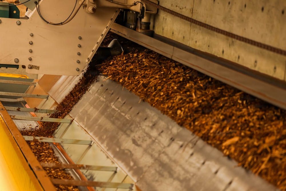 Forest power: woodchips to electricity