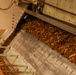 Forest power: woodchips to electricity