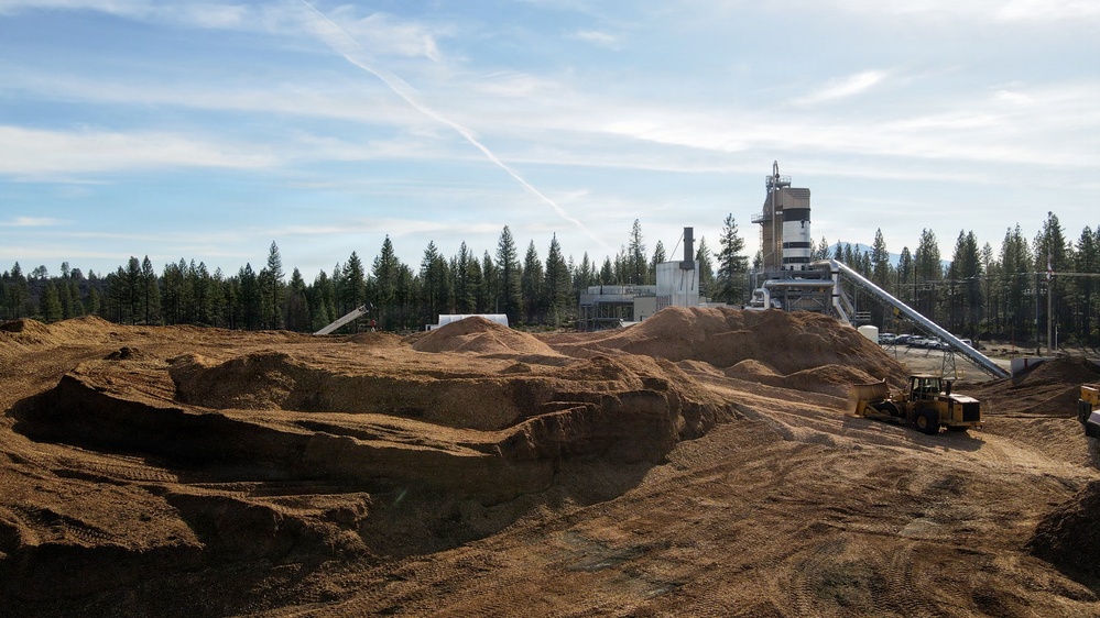 Forest power: woodchips to electricity