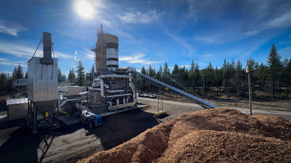 Forest power: woodchips to electricity