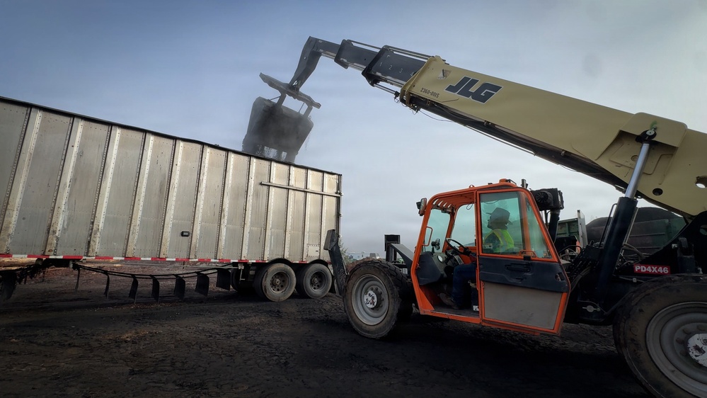 Forest power: woodchips to electricity