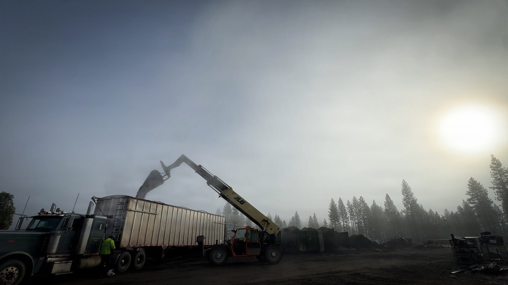 Forest power: woodchips to electricity