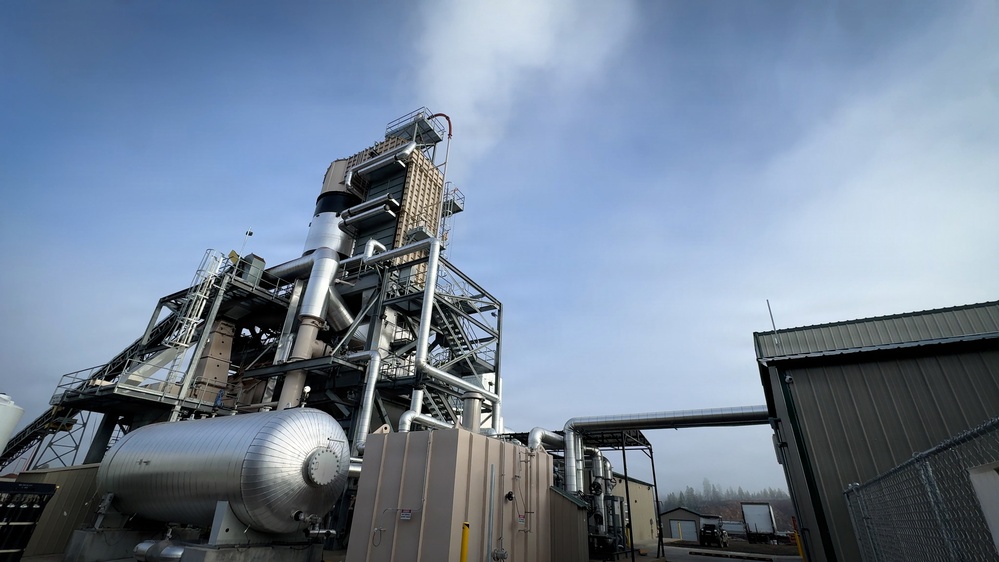 Forest power: woodchips to electricity