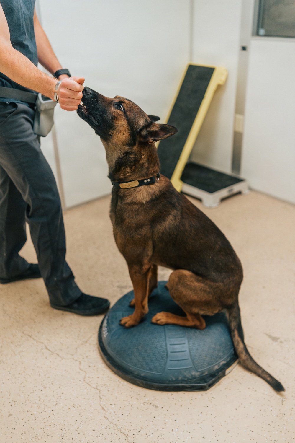 1st Special Forces Group (Airborne): Silent Eagle 2026 Week 1 and 2