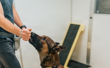 1st Special Forces Group (Airborne): Silent Eagle 2026 Week 1 and 2