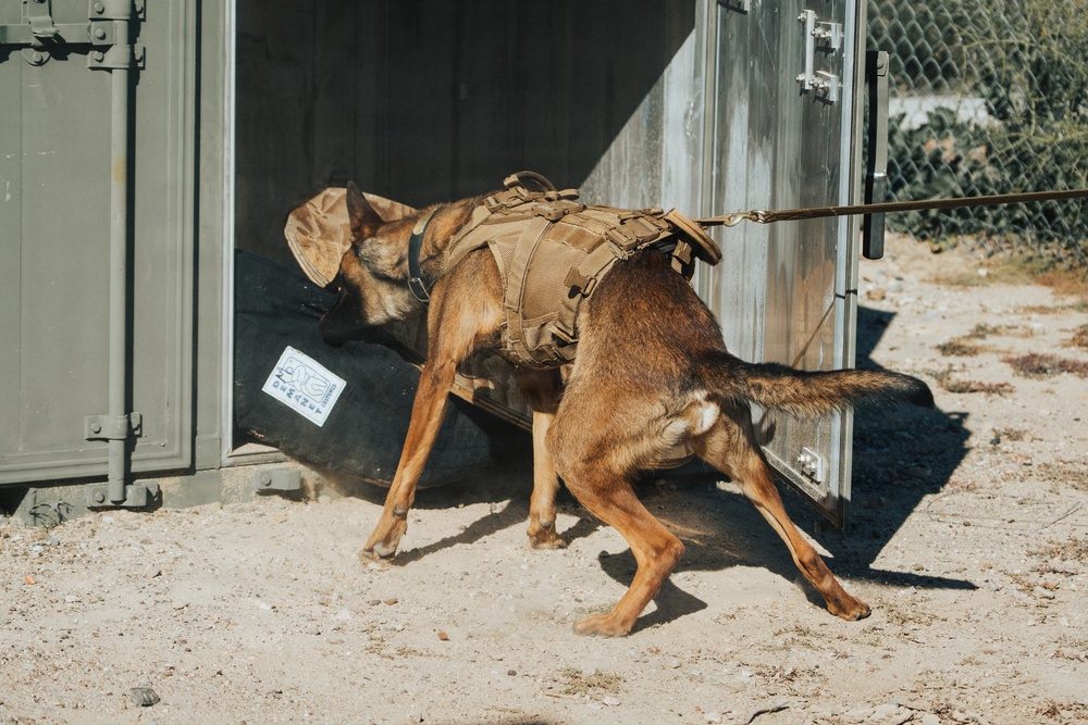 1st Special Forces Group (Airborne) : Silent Eagle 2026 Week 1 and 2