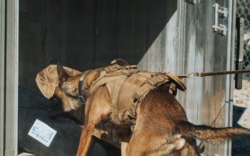 1st Special Forces Group (Airborne) : Silent Eagle 2026 Week 1 and 2